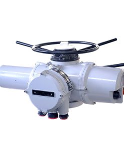 ANISZ Multi-loop Electric Actuator